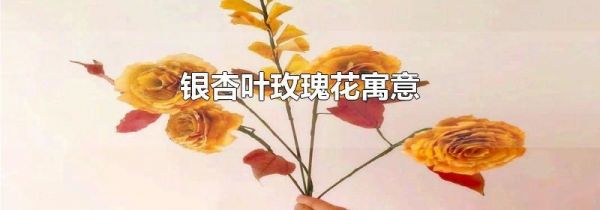 银杏叶玫瑰花寓意