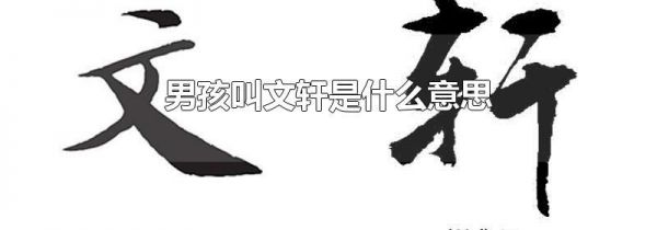 男孩叫文轩是什么意思