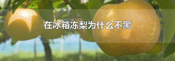 在冰箱冻梨为什么不黑
