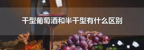 干型葡萄酒和半干型有什么区别
