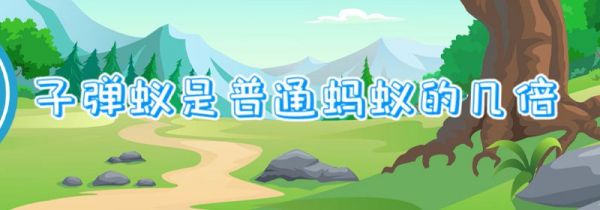 子弹蚁是普通蚂蚁的几倍