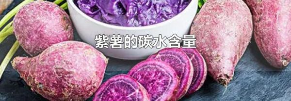 紫薯的碳水含量