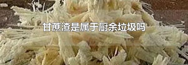 甘蔗渣是属于厨余垃圾吗