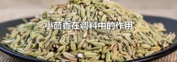 小茴香在调料中的作用