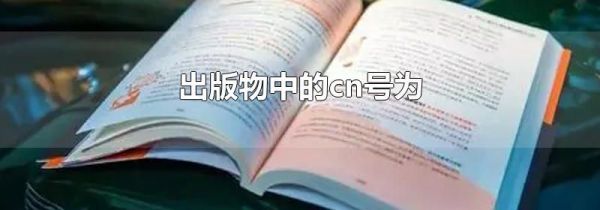出版物中的cn号为