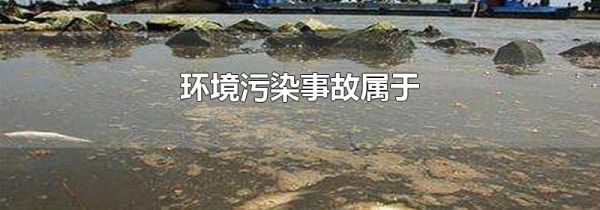 环境污染事故属于