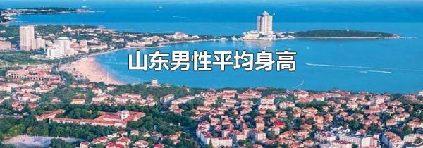 山东男性平均身高