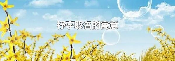 杼字取名的寓意