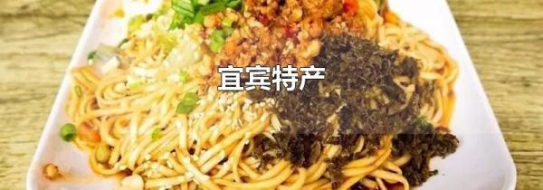 宜宾特产