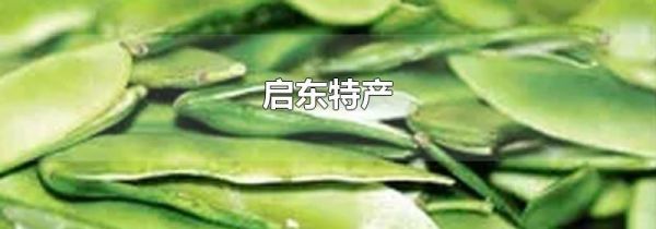 启东特产