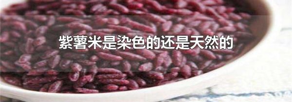 紫薯米是染色的还是天然的