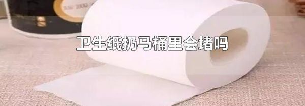 卫生纸扔马桶里会堵吗