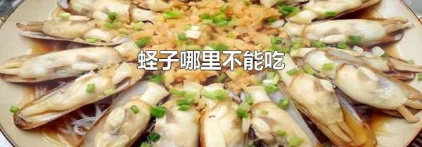 蛏子哪里不能吃