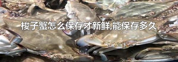 梭子蟹怎么保存才新鲜,能保存多久