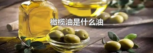 橄榄油是什么油