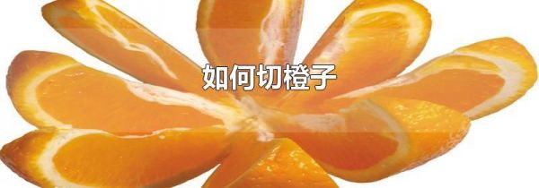 如何切橙子