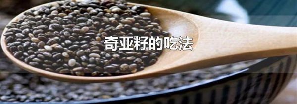 奇亚籽的吃法
