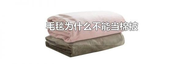 毛毯为什么不能当棉被
