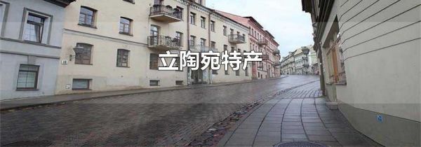 立陶宛特产