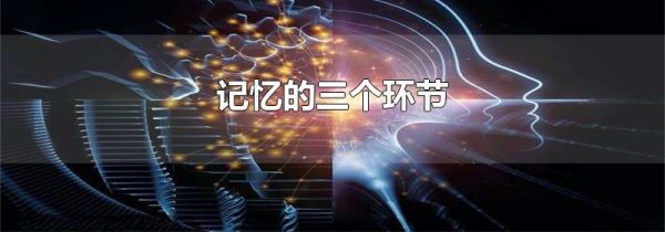 记忆的三个环节