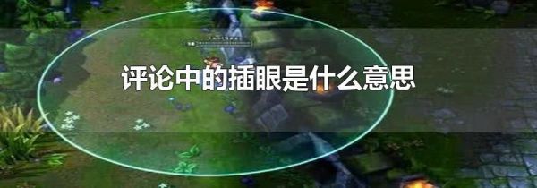 评论中的插眼是什么意思