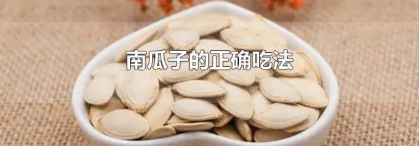 南瓜子的正确吃法