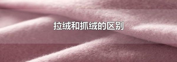 拉绒和抓绒的区别