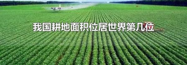 我国耕地面积位居世界第几位