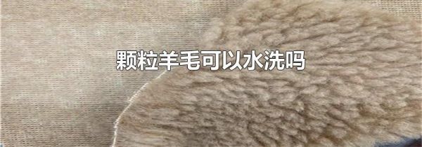 颗粒羊毛可以水洗吗