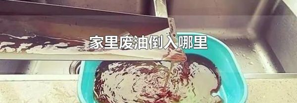 家里废油倒入哪里