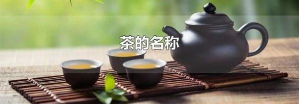 茶的名称