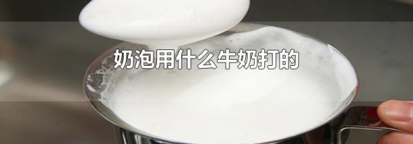 奶泡用什么牛奶打的