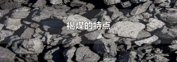 褐煤的特点