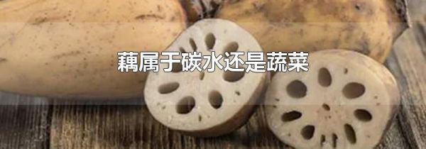 藕属于碳水还是蔬菜