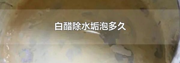 白醋除水垢泡多久