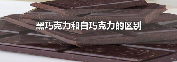 黑巧克力和白巧克力的区别