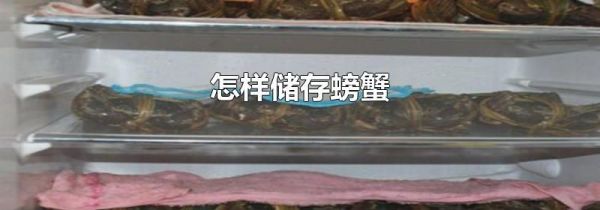 怎样储存螃蟹