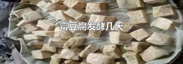霉豆腐发酵几天