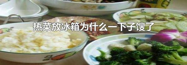 热菜放冰箱为什么一下子馊了