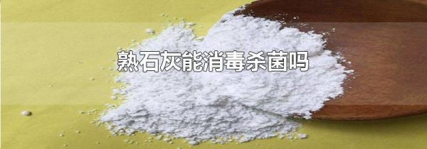 熟石灰能消毒杀菌吗