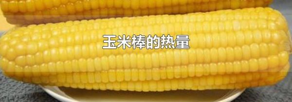 玉米棒的热量