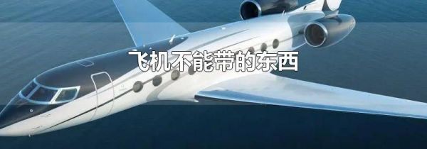 飞机不能带的东西