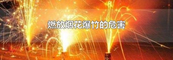 燃放烟花爆竹的危害
