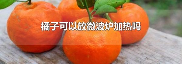 橘子可以放微波炉加热吗