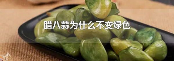 腊八蒜为什么不变绿色