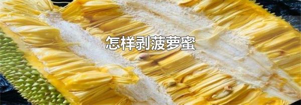 怎样剥菠萝蜜