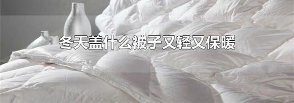 冬天盖什么被子又轻又保暖