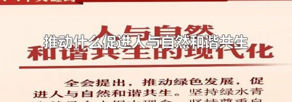 推动什么促进人与自然和谐共生