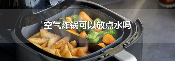 空气炸锅可以放点水吗