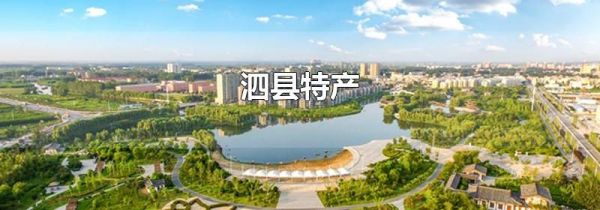 泗县特产